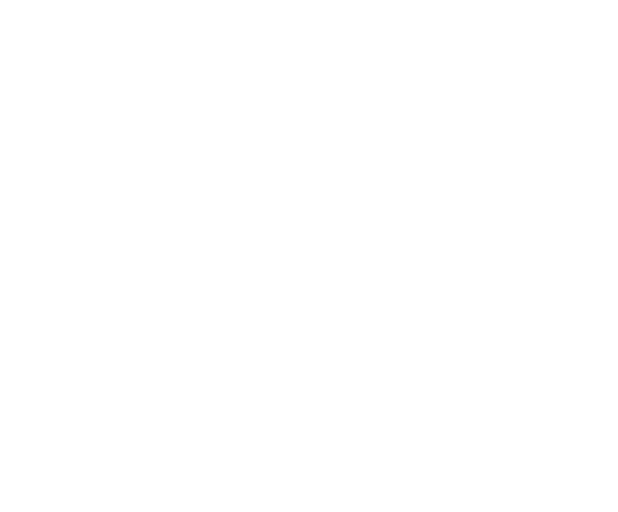 Telegram Icon White